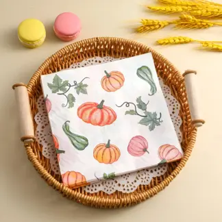 Thanksgiving Pumpkin Party Paper Napkins 2-Ply 20pcs Decorative Placemats