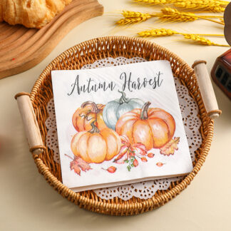 20pcs Thanksgiving Pumpkin Paper Napkins 13in 2-Ply Decorative Party Napkins