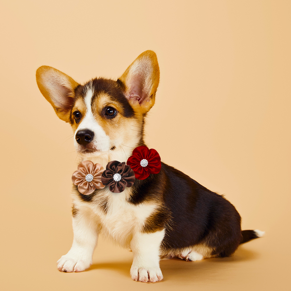 Fall Pet Bow Tie Collars for Small Dogs & Cats - Image 2