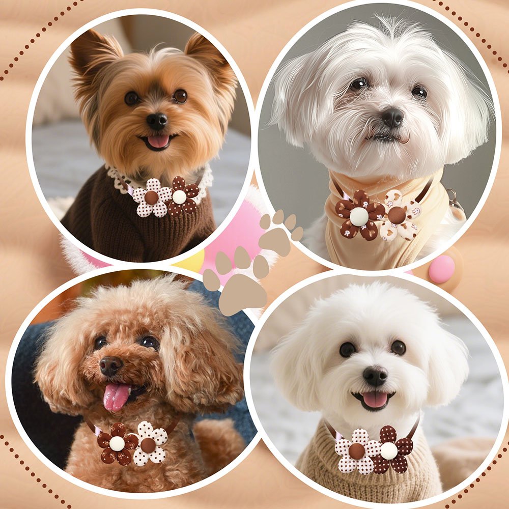 Autumn Pet Bowtie Set - Image 2