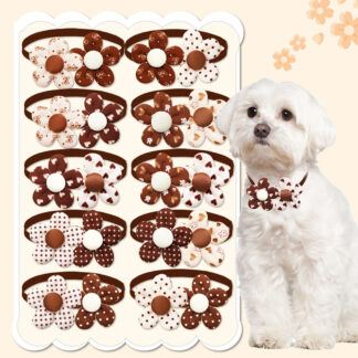 Autumn Pet Bowtie Set