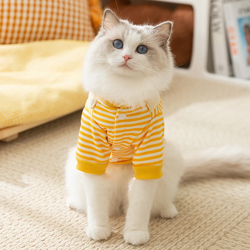 Cozy Autumn Winter Pet Apparel - Image 2