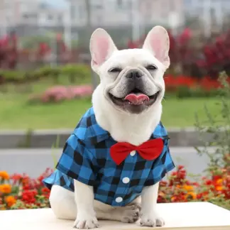 Charming Plaid Pet Shirt with Bow Tie – Stylish Outfit for Small & Medium Pets